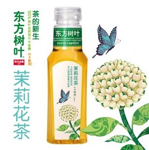 农夫山泉 东方树叶茉莉花茶 480ml/瓶